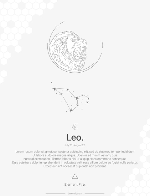 Zodiac sign constellations Leo vector illustration wall decor ideas