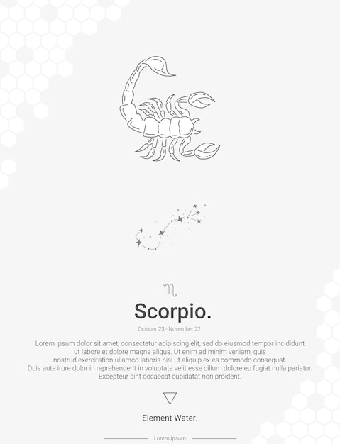 Vector zodiac sign constellations scorpio vector illustration wall decor ideas