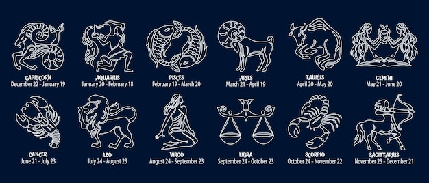 Zodiac signs, astrological horoscope signs. Contour white drawings on a blue background. Icons