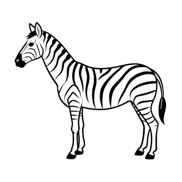 Vector zoo animal outline vector illustration