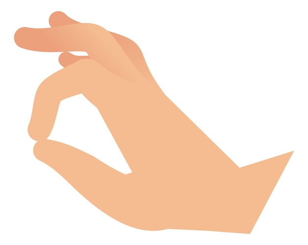 Zoom touch screen hand gesture Flat icon