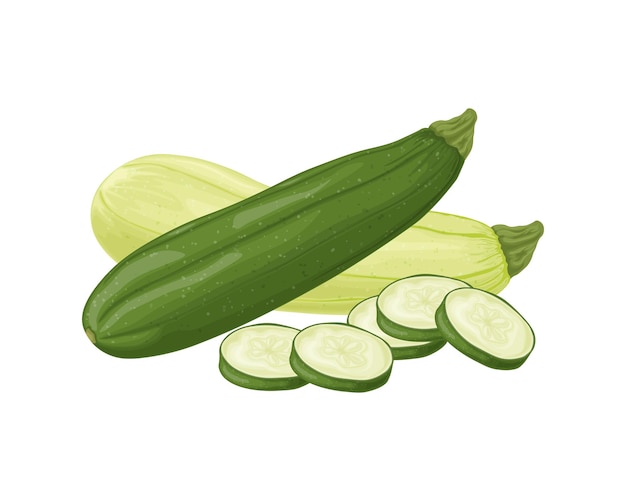 Zucchini Image of sliced zucchini Vegetarian vegetable from the garden Farm vegetables Vector illustration isolated on a white background